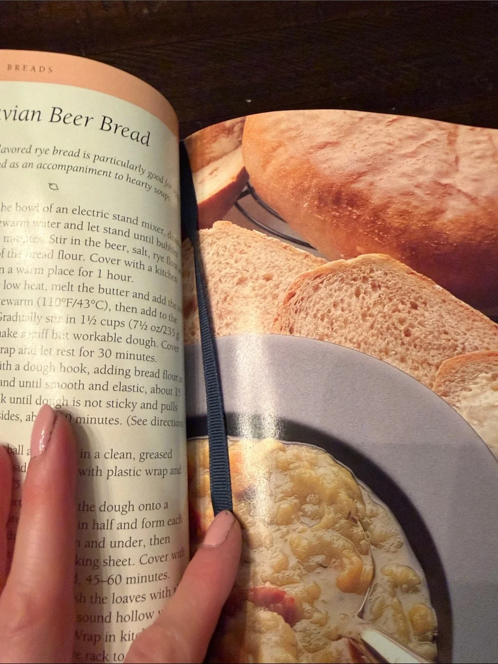 Williams Sonoma Breads Cookbook — Green and Brown Cover